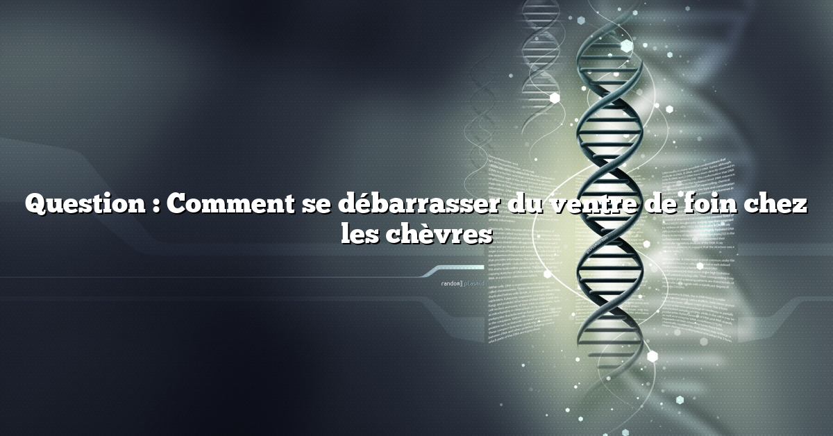 Question : Comment se débarrasser du ventre de foin chez les chèvres